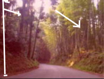 e0103408_23294691.jpg