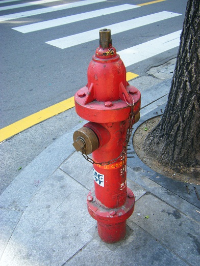 f0097008_2210627.jpg