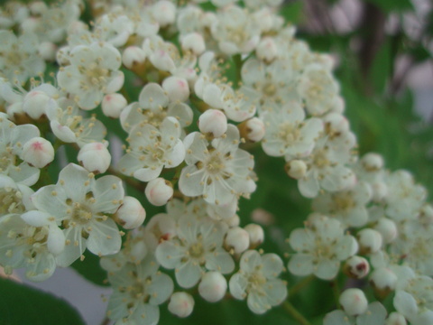 b0198109_2232942.jpg