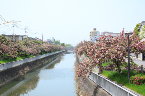 d0077811_2341667.jpg
