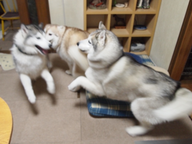 b0207615_23223463.jpg