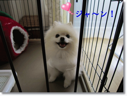 b0167519_98204.gif