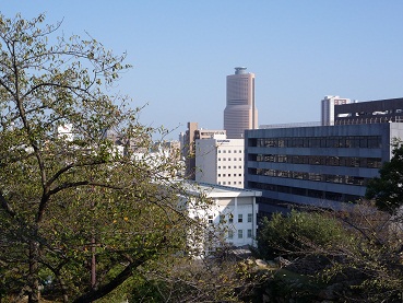 b0188121_21384885.jpg