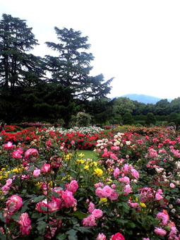 b0080027_22533115.jpg