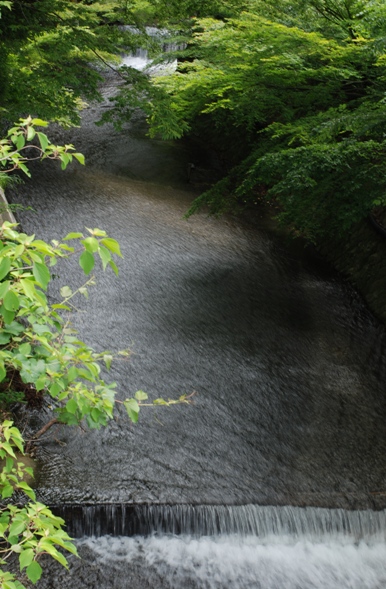 d0046930_3271944.jpg