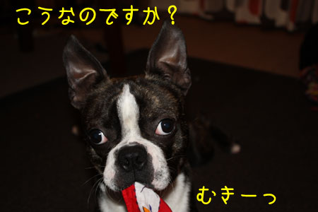 a0190132_22461883.jpg