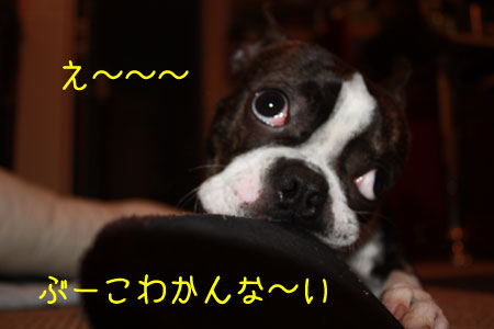 a0190132_22475541.jpg