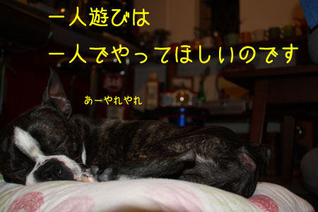 a0190132_22502383.jpg