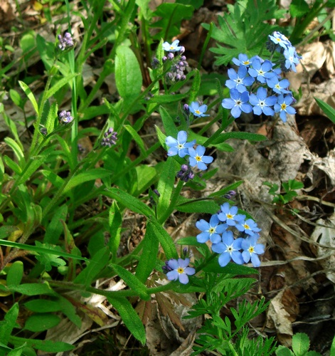 d0037233_9202148.jpg