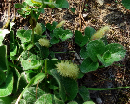 d0037233_9968.jpg