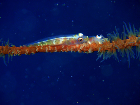 f0014842_18124896.jpg