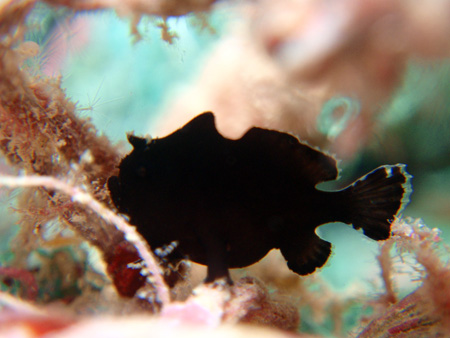 f0014842_1818146.jpg