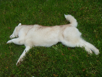 e0121548_22165173.jpg