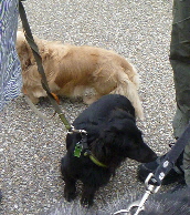 e0121548_2232219.jpg