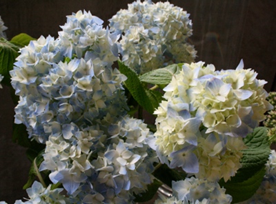 b0148450_10404188.jpg