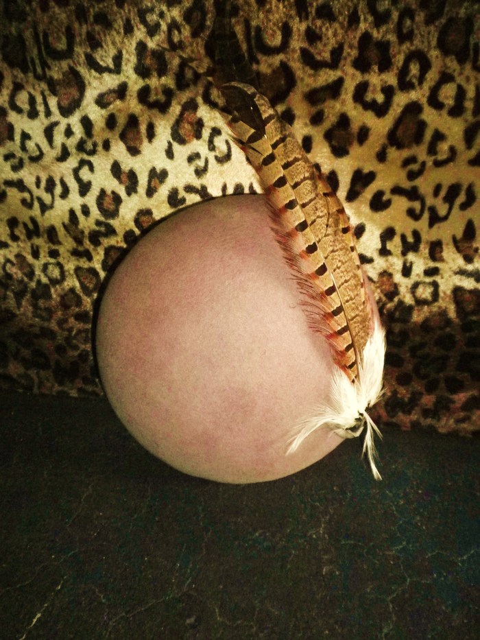 a0159652_1462339.jpg