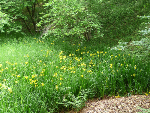 b0045357_9383782.jpg