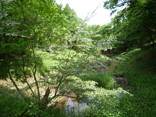 b0045357_939166.jpg