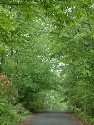 c0050264_14312090.jpg
