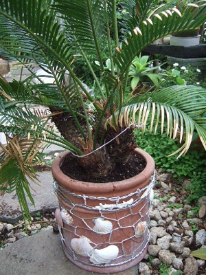 e0225164_5132454.jpg