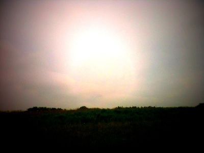 e0208167_842227.jpg