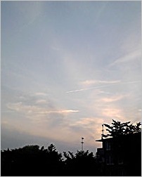 a0050669_1583130.jpg
