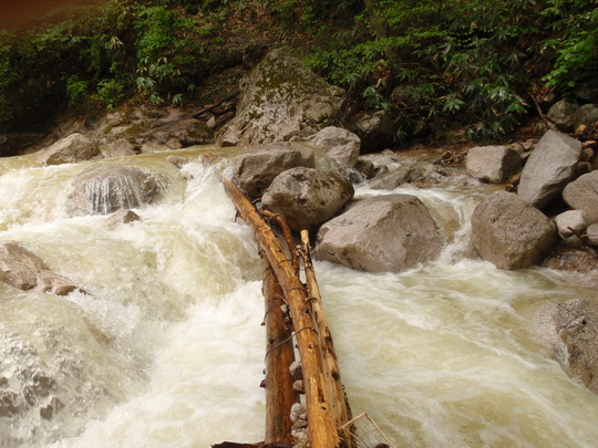 d0091069_22175922.jpg
