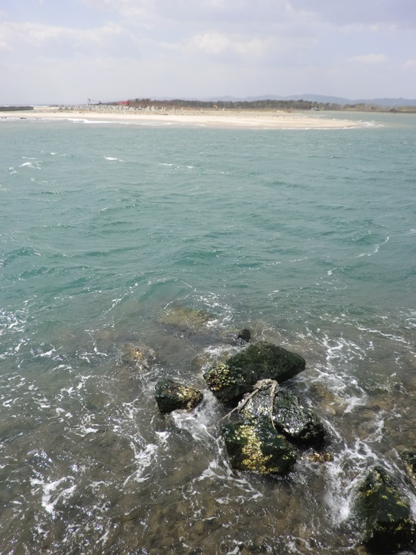 f0238779_7321687.jpg