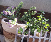 f0237680_1851497.jpg