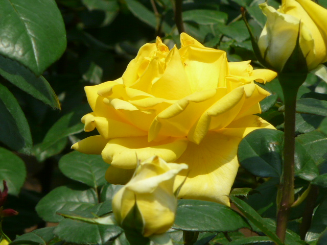 e0145782_11141922.jpg
