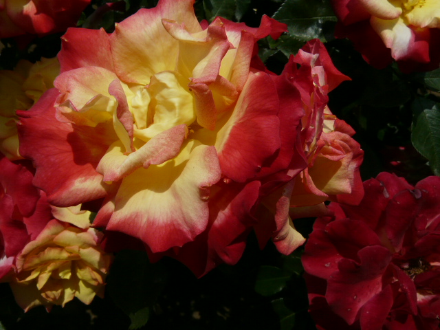 e0145782_11154100.jpg