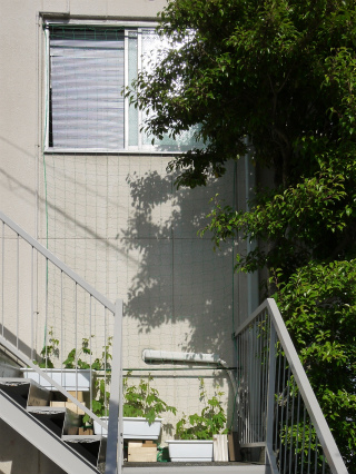 c0160488_2053178.jpg