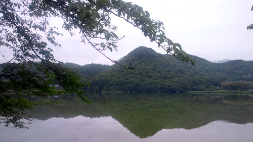 a0079292_16543153.jpg