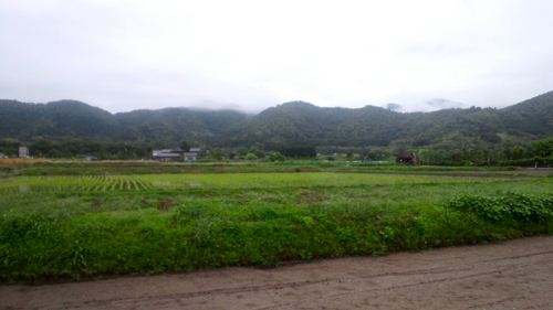 a0079292_1701326.jpg