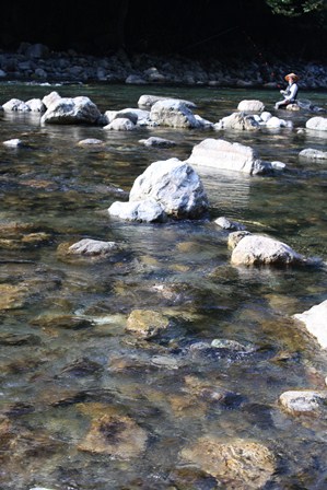 b0125397_1741029.jpg