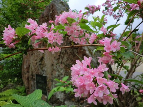 a0138198_1323017.jpg