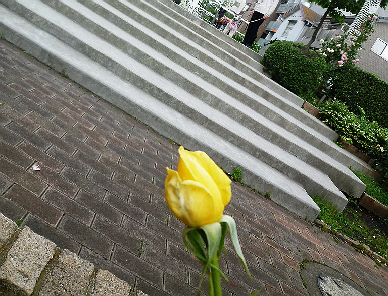 c0138198_52641.jpg