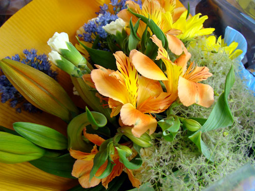 a0047200_16535934.jpg