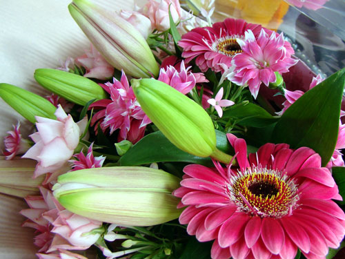 a0047200_22241687.jpg