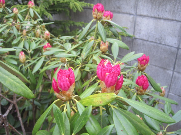 f0202703_53685.jpg
