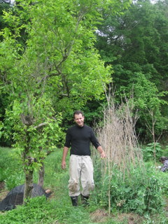 f0144707_15361250.jpg