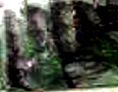 e0103408_15183416.jpg