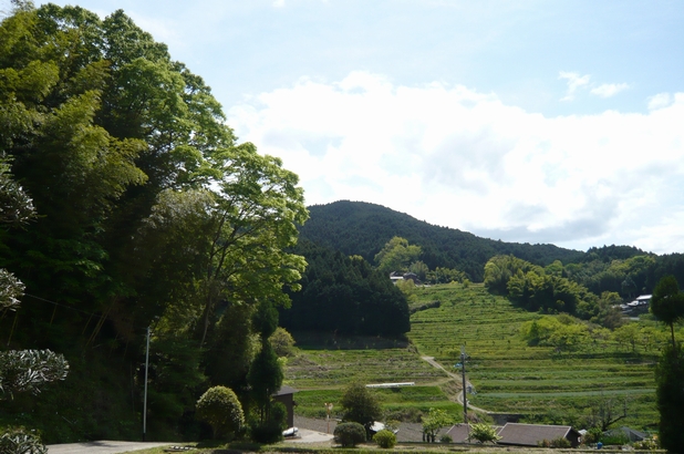 f0221708_17382222.jpg