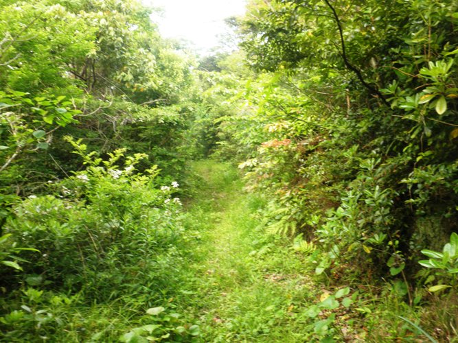 e0181312_782468.jpg