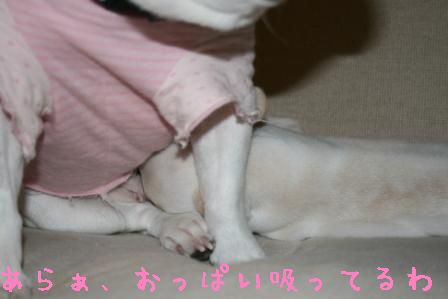e0200812_2315430.jpg