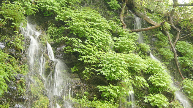 f0233414_22415537.jpg