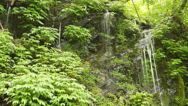 f0233414_22581133.jpg