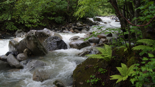 f0233414_2325491.jpg