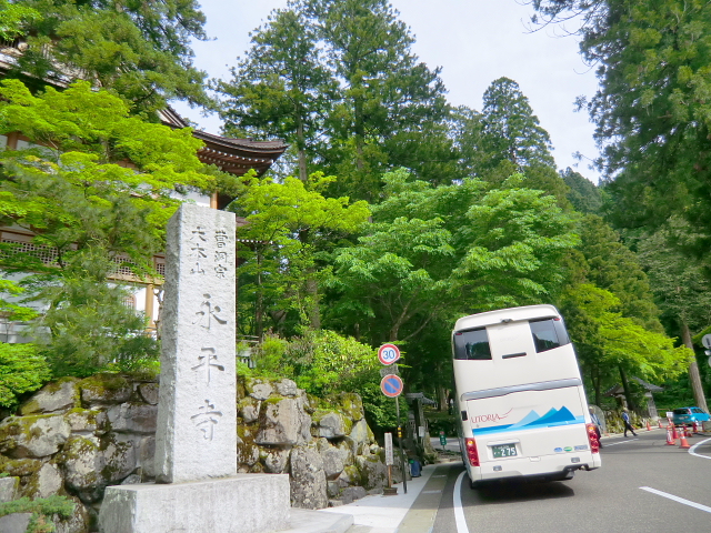 d0170615_8585094.jpg