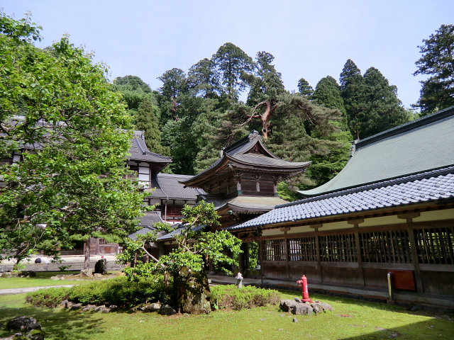 d0170615_904271.jpg